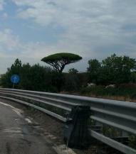 2013-07-29 14.27.56-1