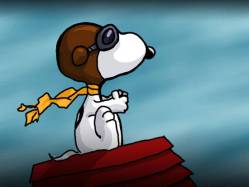 snoopy aviatore